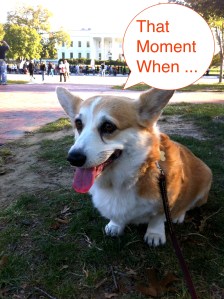 BTMegan's That Moment When ...